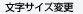 文字サイズ変更